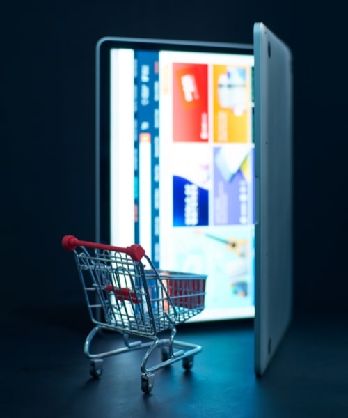 Magento-ecommerce